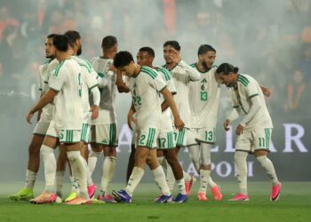 Algeria Narrowly Edge The Netherlands in Pre-World Cup Friendly 5 Players of the Desert Foxes celebrate with Hadj Moussa after he scored the winning goal against the Netherlands in Rotherdam