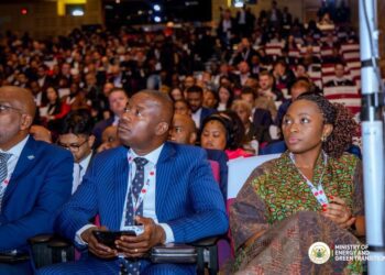 Energy Minister Joins Global Leaders in Cape Town for AEF 3 Energy Minister at Africa Energy Forum (AEF)