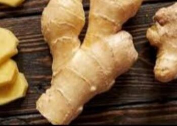 Ginger