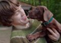 Shaggy and Scooby-Doo