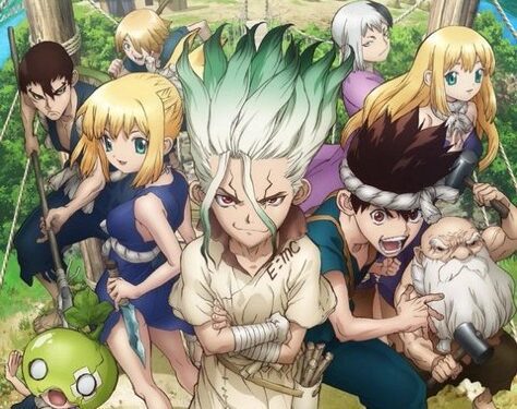 Dr. Stone