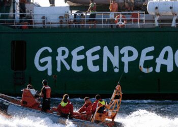 Global Ocean Conservation Efforts at Risk, Greenpeace Warns 2 Greenpeace International