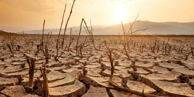 WMO Warns El Niño is Set to Return 1 Sudan Medical Supplies 2026 06 02T084505.658