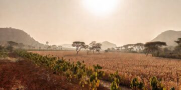 El Niño Risks Undermining Ghana’s Agricultural Outlook