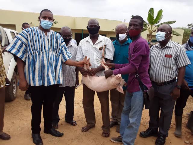 AngloGold Ashanti Commissions Sanso Piggery Centre 6 images 26