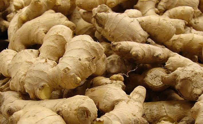 Ghana Loses US$168 Million Annually to Tomato Imports, CSIR 4 Ghana Ginger