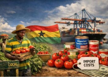 Imported Tomatoes