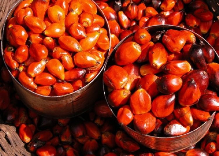 palmnuts