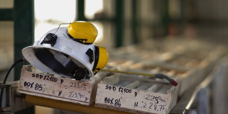 South Africa needs migrants to resuscitate its ailing economy