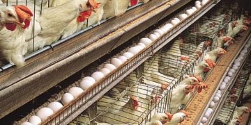 14da1bf4 185f 4d11 ab56 1a1a75c48476