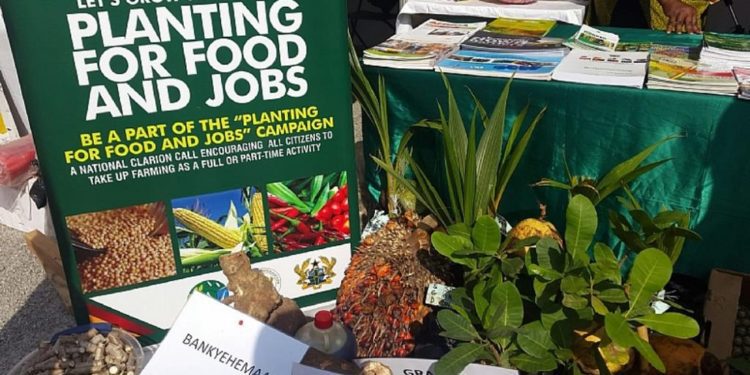 PFJ Does Not Provide Jobs - Chamber of Agribusiness Boss 1 Planting for food and jobs Ghana1