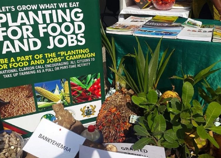 Planting for food and jobs Ghana1