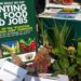 Planting for food and jobs Ghana1