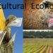 agric economy