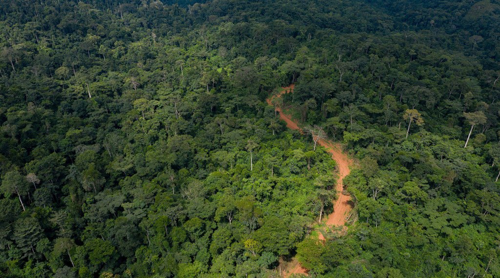 Atewa Fores in an aerial view