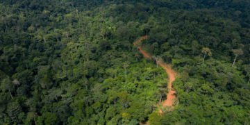 Atewa Fores in an aerial view