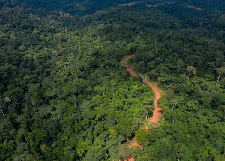 Advocacy Groups and Private Citizens Sue Government Over Atewa Forest Mining. 1 Atewa Fores in an aerial view