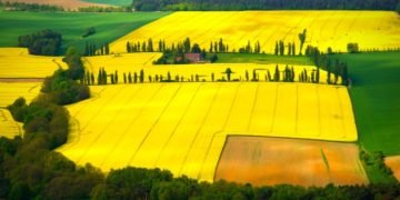 GHACCO Urges Gov’t to Execute the Bioenergy Policy