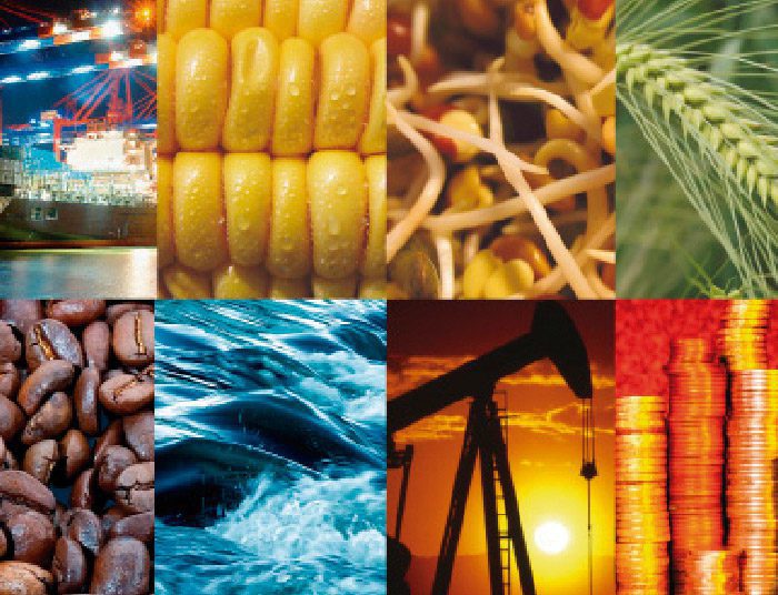Commodity Trading