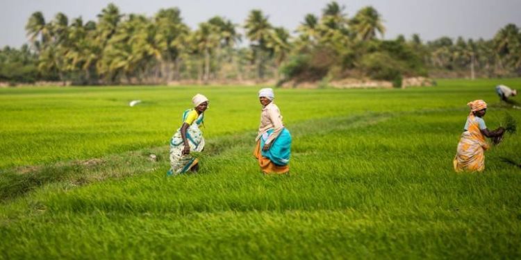 Ghana’s Land Tenure System; A Challenge In The Agric Sector 1 land tenure