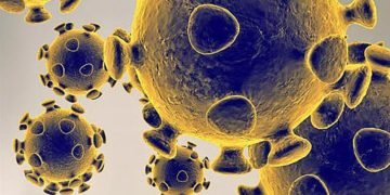 coronavirus pandemic