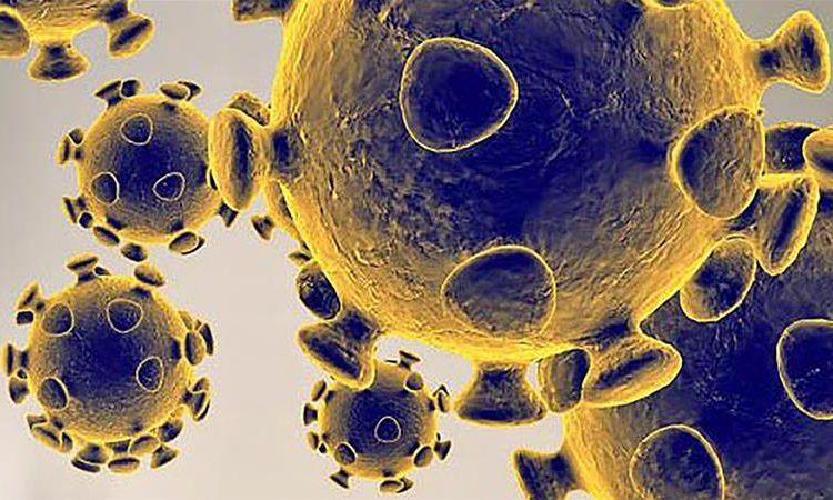 coronavirus pandemic