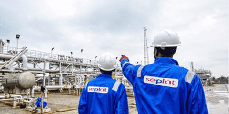 Nigeria’s largest Independent Oil company laments over OPEC+ production cuts 1 seplat
