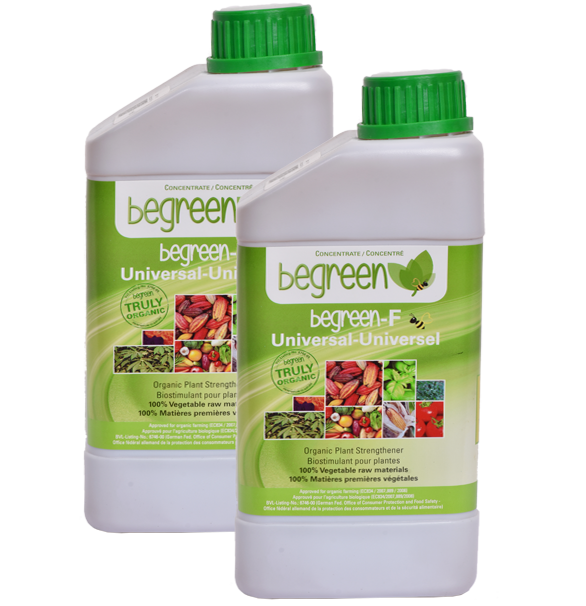 Begreen 1