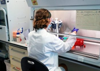 Leading scientist warns that future outbreaks are an increasing threat. Image credit: Skynews