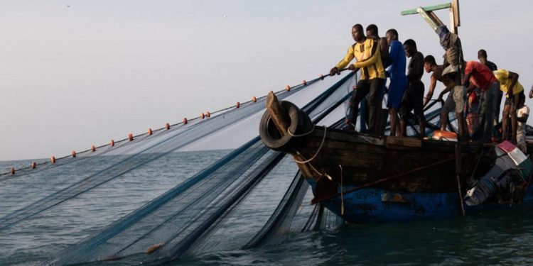 Fisheries Experts Call On Gov’t To Stop Illegal Trawling 1 saiko 2