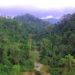 Forestry Commission Blamed For Destruction Of Atewa Forest 11 Atewa Forest