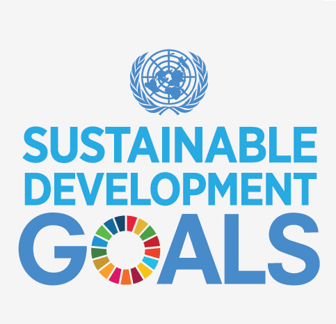 Seven of The SDG’s Goals Are Stagnated- Evans Asare 1 Sustainable Development Goal
