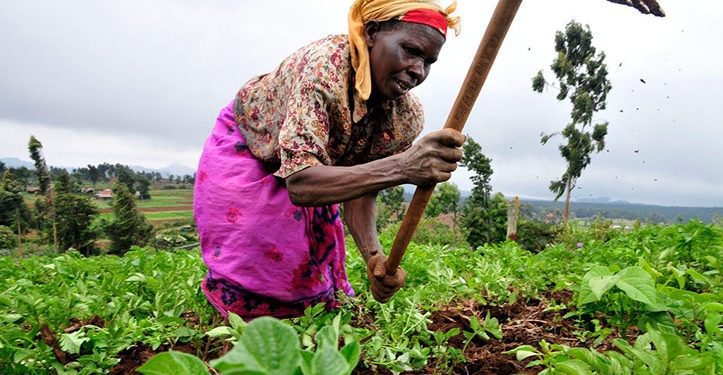Agriculture sector still remains rural and rudimentary, new survey reveals 1 02c64edf3e5ba50994c7c56c55d30b3f
