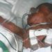 Air pollution killed 476,000 newborns in 2019 - Global Air study 12 Image: Getty Images