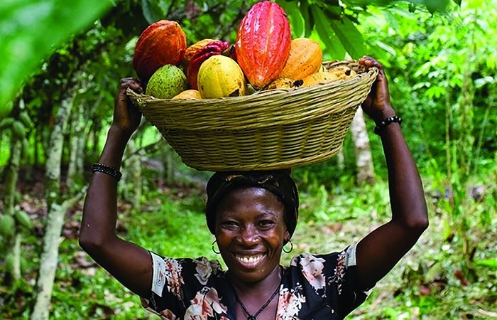 Interest rate gap will limit capacity of local banks to take up cocoa syndicated loan – Banking Consultant 4 Doing Global Good 700x450 1
