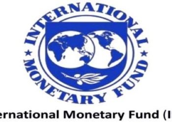 Most Banks Will Be Able to Absorb Losses, but There Is a Weak Tail-IMF 5 IMF calls for gender budgeting to stimulate recovery