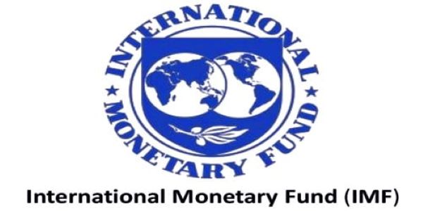 IMF's Director of Finance Department to Retire