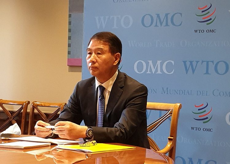 Deputy Director-General of the WTO -  Yi Xiaozhun