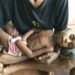 eight col Father holds malnourished son Sally Lloyd