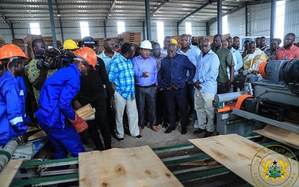miro forestry ghana 1