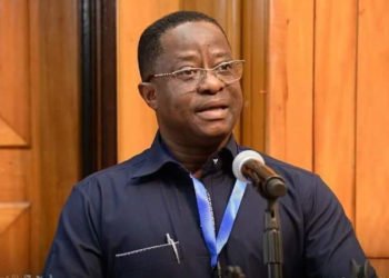 Minister for Energy, John Peter Amewu