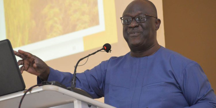 Agric Sector sees growth despite the COVID-19 pandemic 1 CEO GIRSAL, Kwesi Korbe