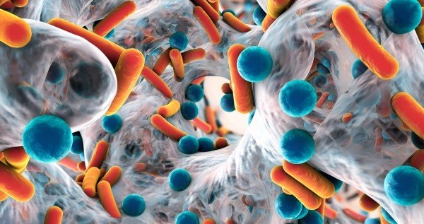 Increasing Spread Of AMR Remains A Public Health Concern- Health Minister 2 amr