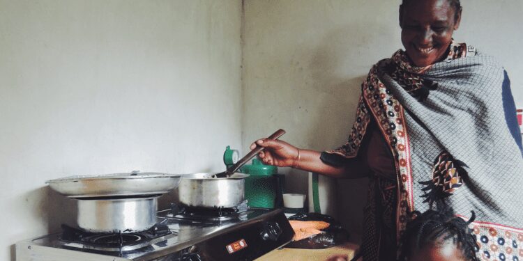 AfDB to provide low-income households in Africa with clean cooking solutions