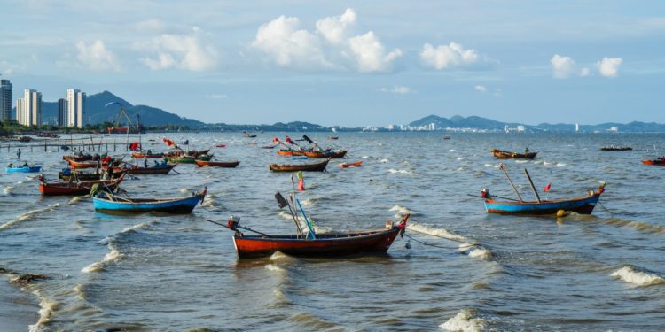 Fisheries Commission/EJF launches a mobile application for tracking illegal fishing 1 fishing vessels e1496920900317 1280x640 1