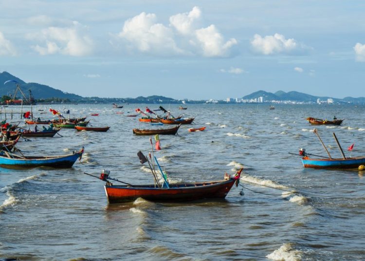 Fisheries Commission/EJF launches a mobile application for tracking illegal fishing 1 fishing vessels e1496920900317 1280x640 1