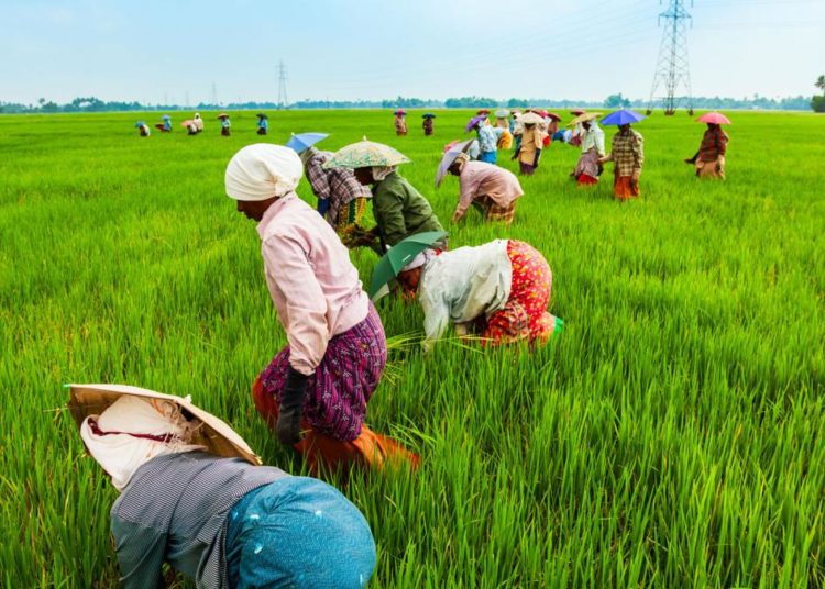Agriculture records best performance since 2017