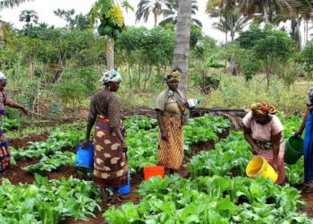 World Food Systems Are Under Threat - FAO