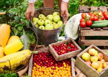 Inclusive Food System to Combat Rural Poverty