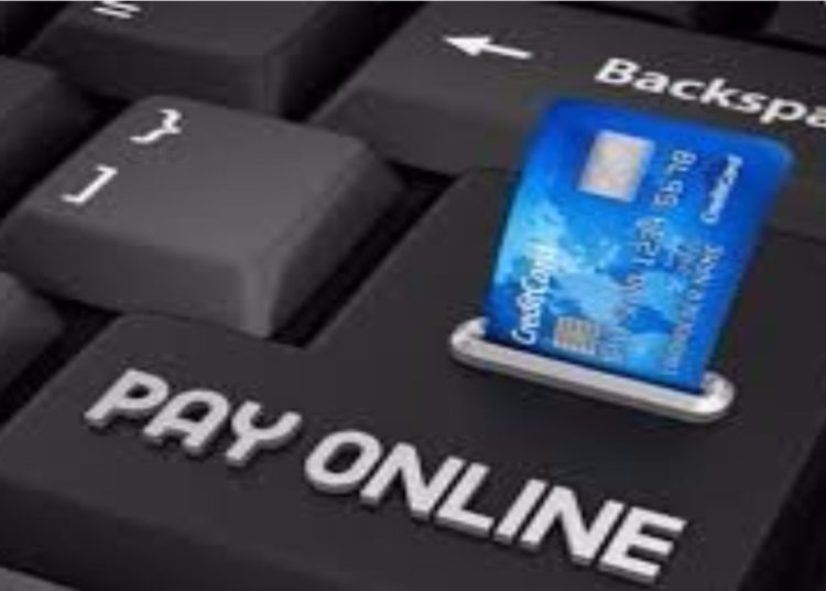Payment system expand as economy rebounds 1 Payment system expand as economy rebounds